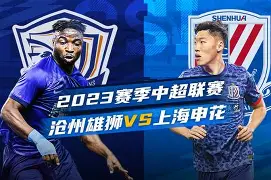 沧州雄狮客场顽强抢分