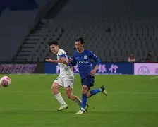 沧州雄狮客场顽强抢分